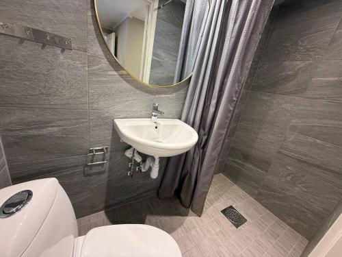 a bathroom with a sink and a toilet and a mirror at Workers Stay - Housing for Workers Olofstorp Göteborg in Olofstorp