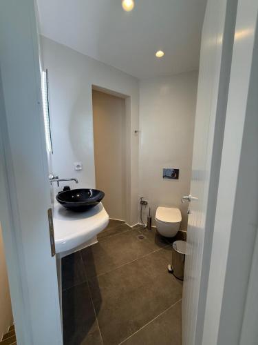 a bathroom with a sink and a toilet at Maison Blanche in Vóthon
