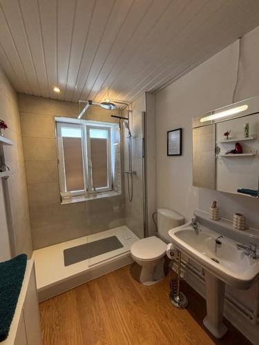 a bathroom with a shower and a toilet and a sink at Maison villageoise in Anhée