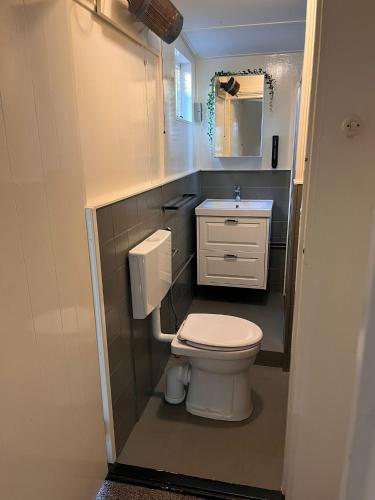 a small bathroom with a toilet and a sink at Buitengewoon Beerze in Beerze