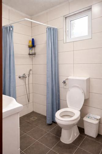 a bathroom with a toilet and a shower at Dabanović House in Virpazar