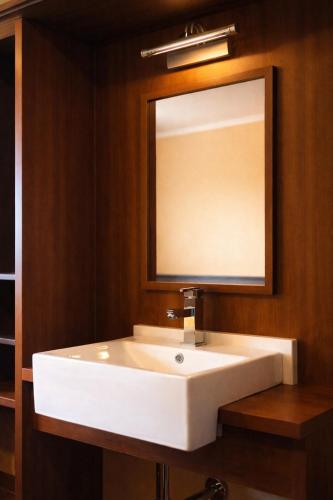 a bathroom with a white sink and a mirror at Pension Javorník in Jeřmanice