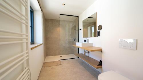 a bathroom with a sink and a mirror at Vakantiehuis Bartholomé in Nieuwmunster