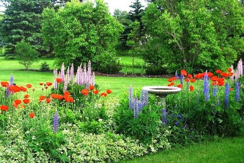 a garden with colorful flowers and a bird bath at Harbourview Inn in Smiths Cove