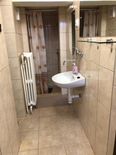 a bathroom with a sink and a shower at Bibina in Levoča
