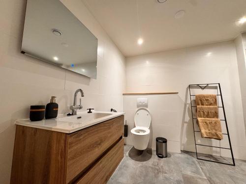 a bathroom with a sink and a toilet at La Fornaccia in Anloo