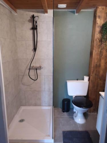 a bathroom with a shower with a toilet and a tub at Maison proche centre Les Vans in Les Vans