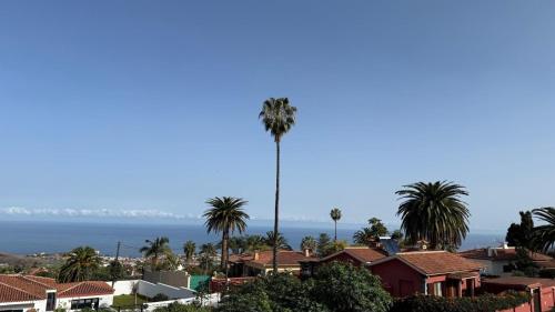 a palm tree in the middle of a city with houses at Holiday Feel - La Orotava in La Orotava