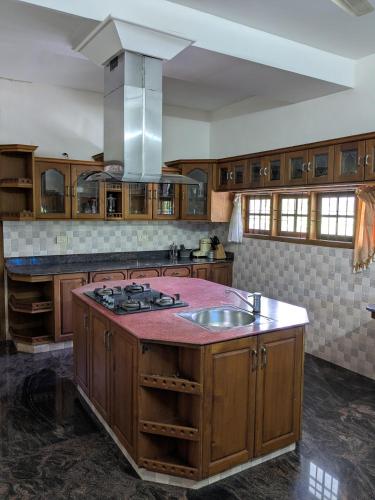 a kitchen with a sink and a stove at Veranda Villa in Angamaly