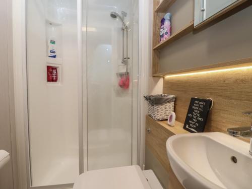a bathroom with a shower and a toilet and a sink at Lodge 22, Moselle in Malton