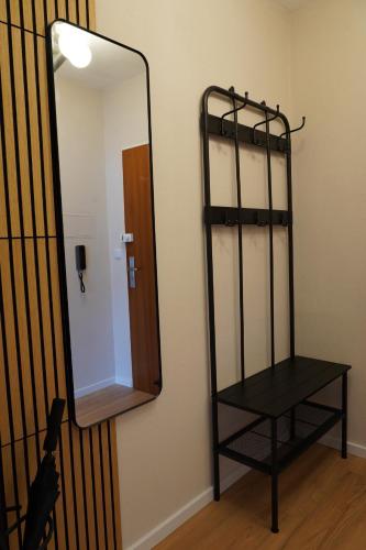 a mirror on a wall next to a black shelf at Suite Home Reichenhall in Bad Reichenhall