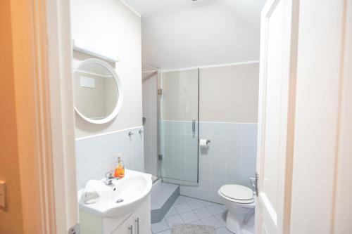 a bathroom with a sink and a toilet and a mirror at Alensgrove Cottages #2 in Leixlip
