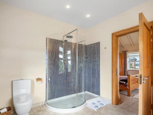 a bathroom with a shower and a toilet at Diamond Cottage in Ballyconneely