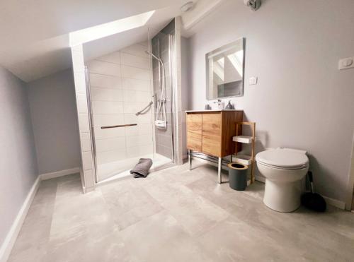 a bathroom with a shower and a toilet and a sink at Chambre avec Salle de Bain Privative in Tarbes