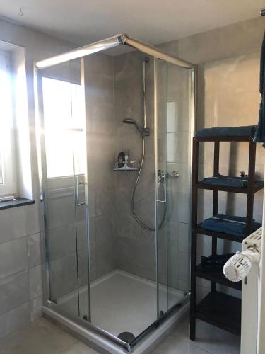 a shower with a glass enclosure in a bathroom at Ferienwohnung "Kleiner" EIFELTRAUM in Mettendorf