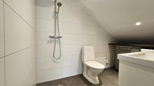 a bathroom with a shower with a toilet and a sink at Two cozy accommodations near the sea SE09118 in Gåseknöde