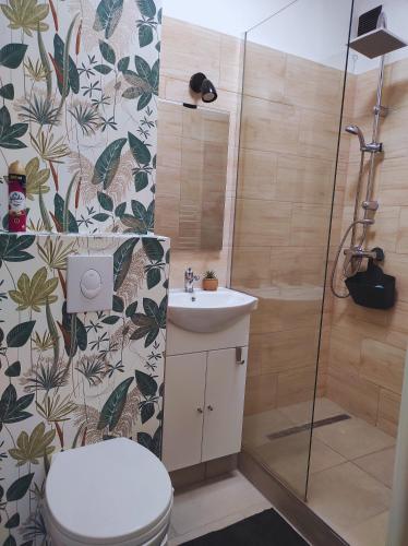 a bathroom with a shower and a toilet and a sink at Lilibella apartman in Miskolc
