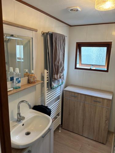 a bathroom with a sink and a mirror at Familienfreundliches Chalet E200 in Makkum Strandnah in Makkum