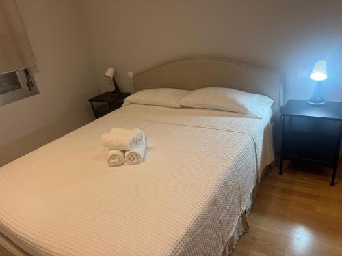 Apartamentos Chamartín photo 56