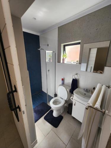 a bathroom with a toilet and a shower and a sink at 14 on Maroela in Polokwane