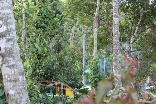 Un jardín fuera de Guddadamane Homestay