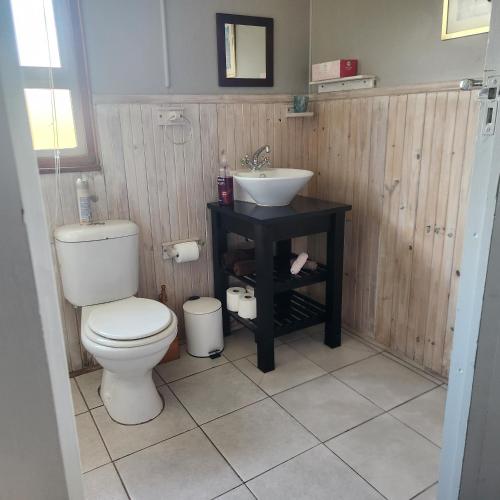 a bathroom with a toilet and a sink at 51onStirling in De Kelders