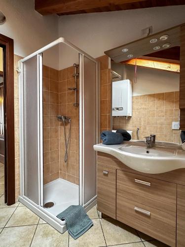 a bathroom with a shower and a sink at Appartamento Pommier 2 in Saint-Pierre