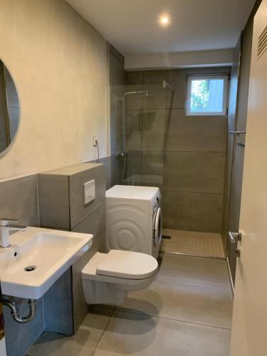 a bathroom with a toilet and a shower and a sink at Appartement in Bad Kreuznach
