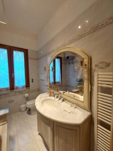 a bathroom with a sink and a mirror and a toilet at Amicizia Erminia in Pineto