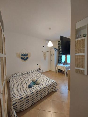 a bedroom with a bed and a television in it at Amicizia Erminia in Pineto