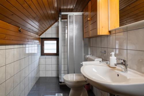 a bathroom with a sink and a toilet at Apartments and rooms Pri Urhu in Bohinj