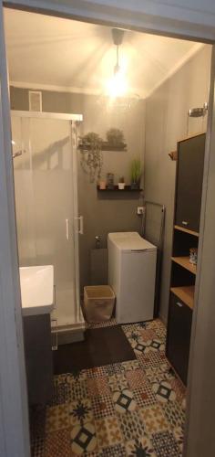 a bathroom with a shower and a toilet and a sink at Superbe appartement face à la mer à Erquy in Erquy