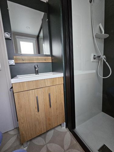 a bathroom with a sink and a shower at Eekhoorn 7 in Gasselte
