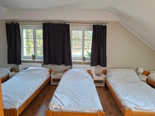 two beds in a room with two windows at Dom w Puszczy Noteckiej in Mierzyn