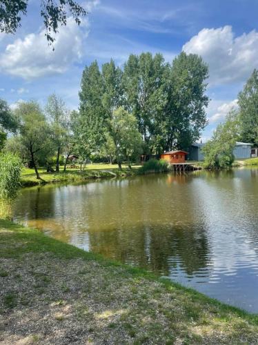 a pond with trees and a house in the background at Chaty oddych pri vode, aj pre rybárov in Veľké Úľany