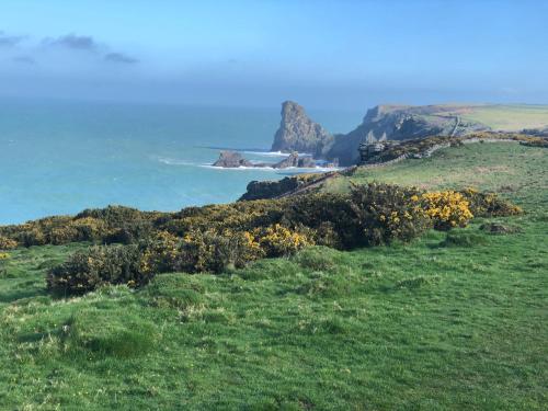 a green field with a view of the ocean at Gwel Owrek in Tintagel