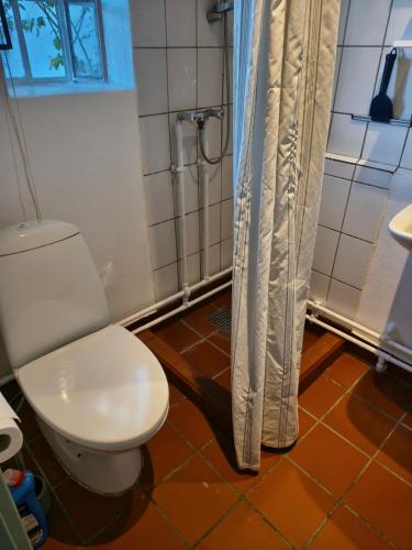 a bathroom with a toilet and a shower at Cozy guest house with terrace in Aalborg