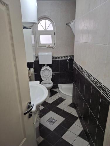 a bathroom with a toilet and a sink at Villa Acer in Novi Sad