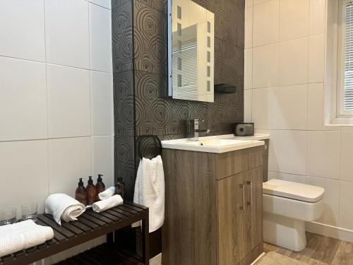 a bathroom with a sink and a toilet and a mirror at Double Ensuite Ground Floor Easy to Cardiff in Cardiff