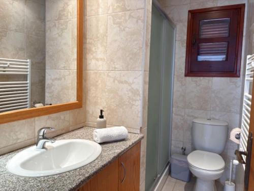 a bathroom with a sink and a toilet at St Visianos stone house in Philousa