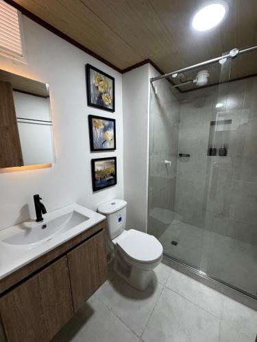 a bathroom with a toilet and a shower and a sink at Céntrico apto 202 in Tunja