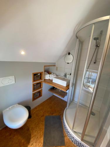 a bathroom with a shower and a toilet and a sink at Studio à la campagne in Jalhay