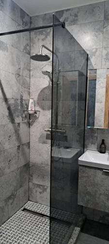 a bathroom with a shower and a sink at AndyRa in Agigea