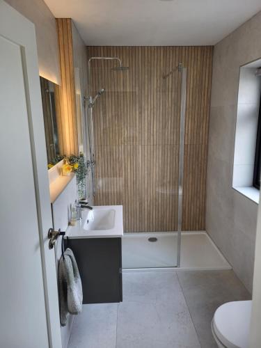 a bathroom with a sink and a shower at Rose Meadow Cottage in Liscannor