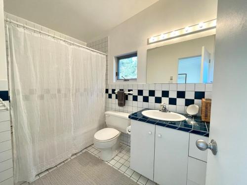 a bathroom with a toilet and a sink and a mirror at The Beach Barn & Cedar Sauna in Kingsburg