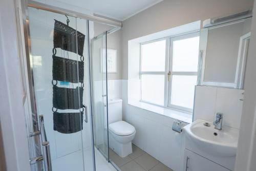 a bathroom with a toilet and a shower and a sink at Alensgrove Maisonette A in Leixlip