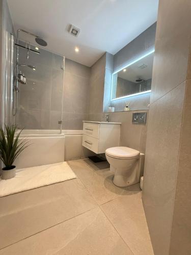 a bathroom with a toilet and a sink and a shower at Coastal Charm in Dublin
