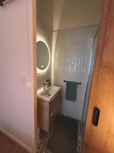 a bathroom with a sink and a mirror at Le jardin secret in Reims