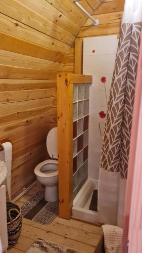 a bathroom with a toilet in a wooden cabin at La Cabane douillette in Aups