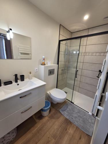 a bathroom with a toilet and a glass shower at La Charmante in Évian-les-Bains